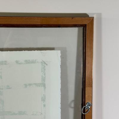 LOT 39X: “Los Papagayos” by C. December Signed & Numbered Block Print / Mixed Media Artwork framed between 2 Panes of Glass