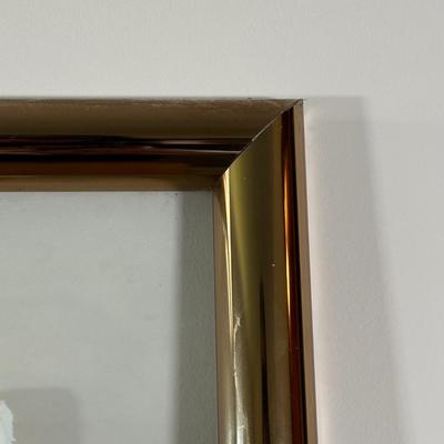LOT 39X: “Los Papagayos” by C. December Signed & Numbered Block Print / Mixed Media Artwork framed between 2 Panes of Glass