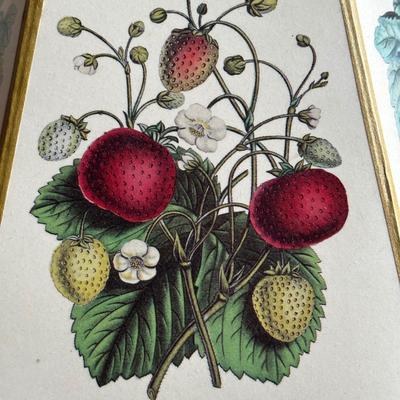 LOT 139F: Pair Of Beautiful Vintage Table Lamps w/ Vintage Decoupage Lithograph Lamp Shades