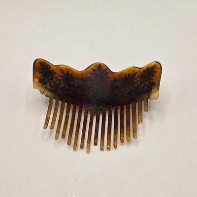 LOT 162K: Antique Victorian/Art Nouveau Era “Tortoise Shell” Brass Accented Hair Comb & Vintage Musical Jewelry Box w/ Pressed Dried...