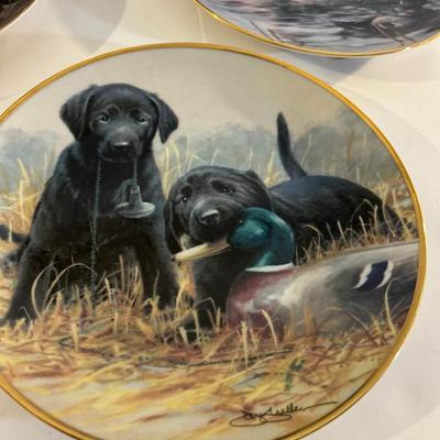 Lab Plates