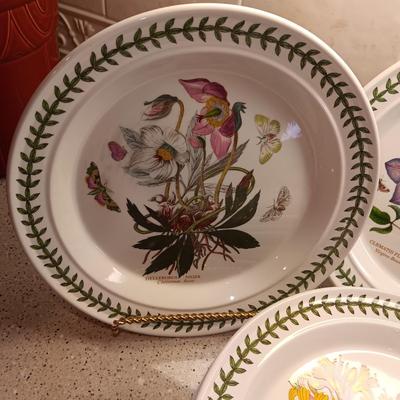 9 PORTMEIRION BOTANIC GARDEN DINNER PLATES