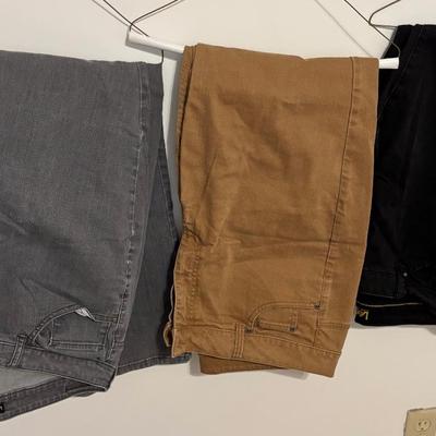Women’s Size 18 Pants