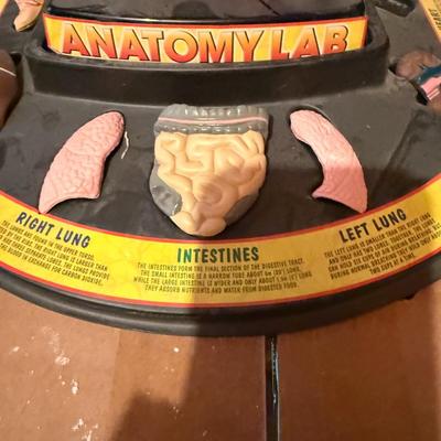 Smithsonian Anatomy Lab Figure
