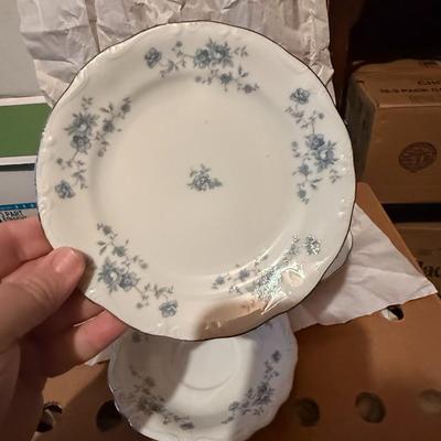 Johann Haviland Bavaria Germany Blue Garland China  Lot