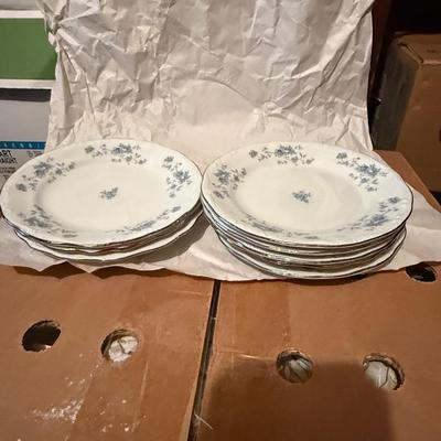 Johann Haviland Bavaria Germany Blue Garland China  Lot