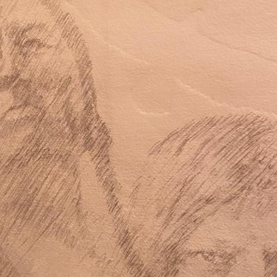Signed and framed Native American drawing