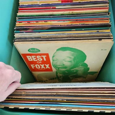 Large Lot Record Albums Lot 419 Bakersfield 63 Big sound of the Drags! Paul Anka ,Tony Orlando, Redd Foxx Mickey Mouse Disco Chipmunks...
