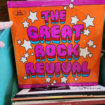 Large Lot Record Albums Lot 419 Bakersfield 63 Big sound of the Drags! Paul Anka ,Tony Orlando, Redd Foxx Mickey Mouse Disco Chipmunks...