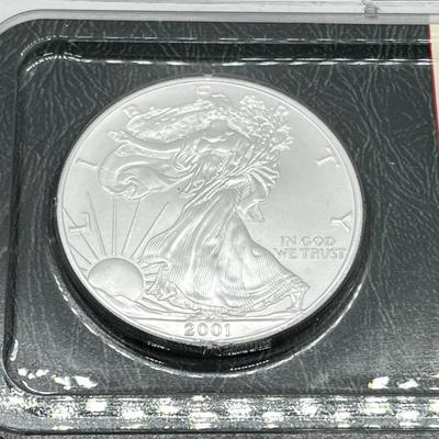 LOT 119: 2001 Silver Uncirculated Coin - 31.1 Grams