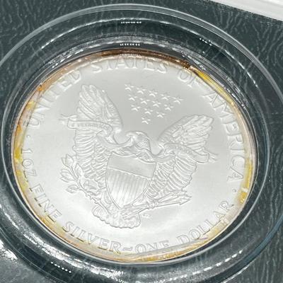 LOT 139: 2001 American Eagle Silver Dollar Coin - .999 Fine Silver - 31.101 grams