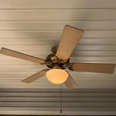 Hunter 48” Ceiling Fan (BP-MG)