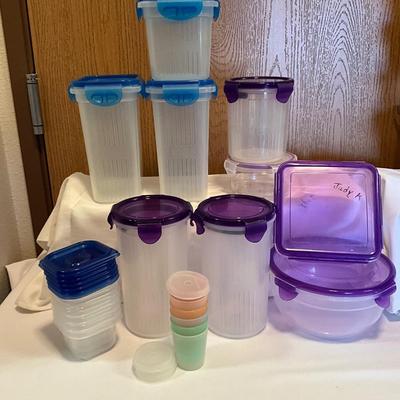 Blue and Purple Container Set