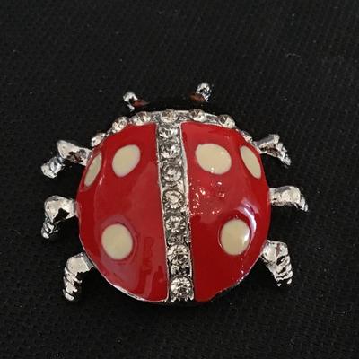 Lady Bug Brooch