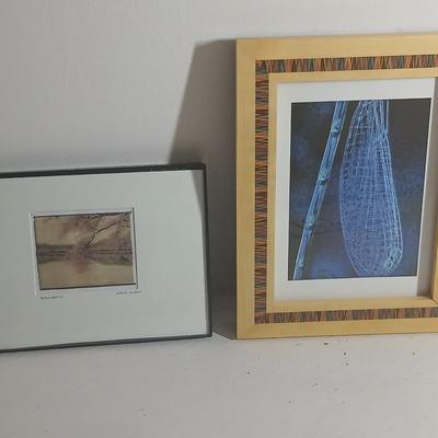 Tidal Basin Cherry tree blooms - signed artwork by Cherle Lester and another framed artwork of up close up dragon fly by Linda Plaistad