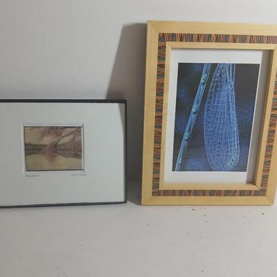 Tidal Basin Cherry tree blooms - signed artwork by Cherle Lester and another framed artwork of up close up dragon fly by Linda Plaistad