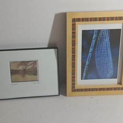 Tidal Basin Cherry tree blooms - signed artwork by Cherle Lester and another framed artwork of up close up dragon fly by Linda Plaistad