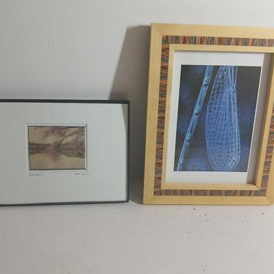 Tidal Basin Cherry tree blooms - signed artwork by Cherle Lester and another framed artwork of up close up dragon fly by Linda Plaistad