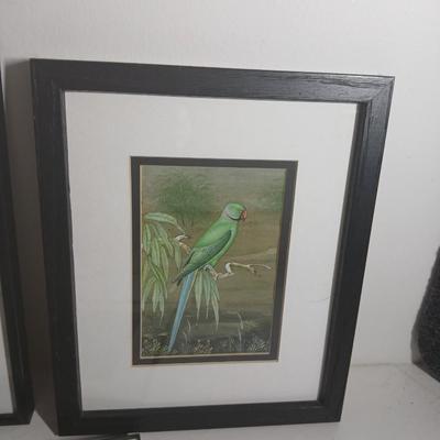 Wall art - three framed bird pictures - from India -