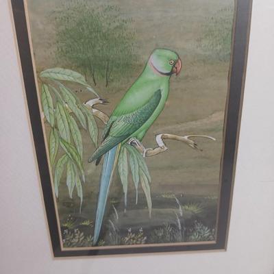 Wall art - three framed bird pictures - from India -