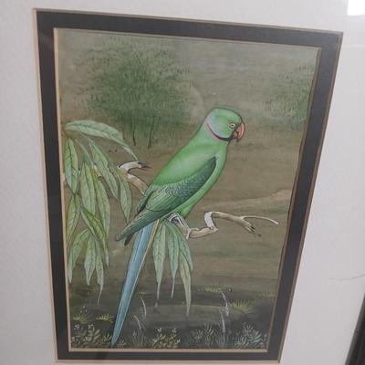 Wall art - three framed bird pictures - from India -