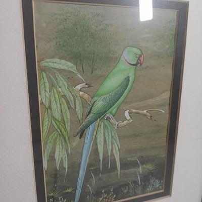 Wall art - three framed bird pictures - from India -