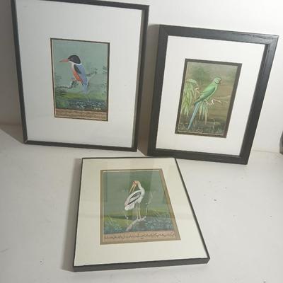 Wall art - three framed bird pictures - from India -