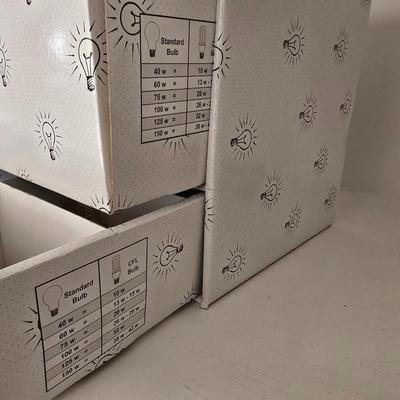 Light bulb storage box with Two extension cords and a blacklight flash light