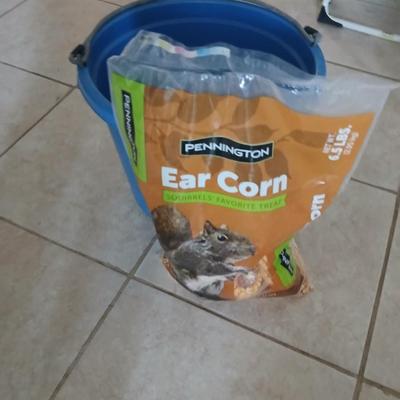 Blue feed / water bucket and Ear Corn Feed