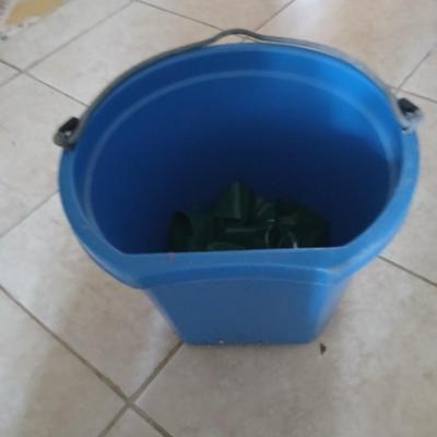 Blue feed / water bucket and Ear Corn Feed