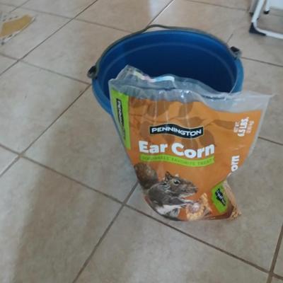 Blue feed / water bucket and Ear Corn Feed