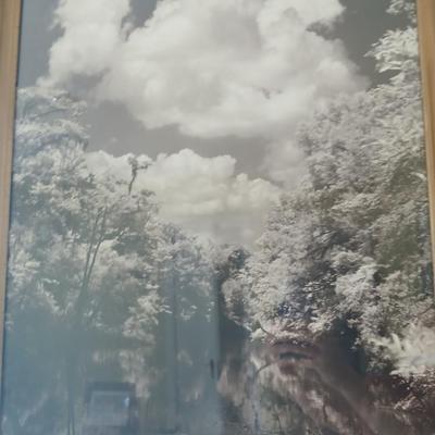 Wall art - Wood framed Suwannee River with trees and clouds