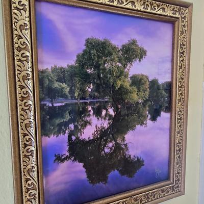 Two framed tree artwork wall hangings one signed by Local photographer Alex Burke