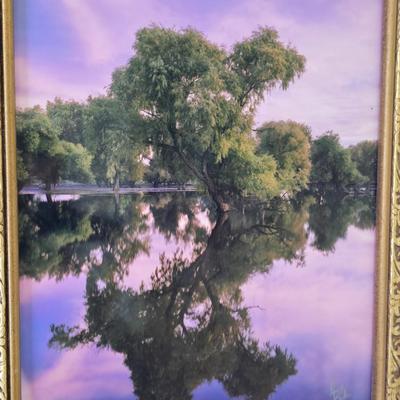 Two framed tree artwork wall hangings one signed by Local photographer Alex Burke