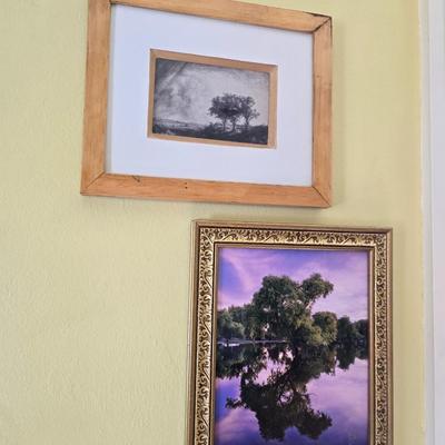 Two framed tree artwork wall hangings one signed by Local photographer Alex Burke