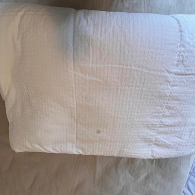 Restoration Hardware Buff Colored Queen Sized Duvet Covers, Sheets Plus a Duvet (GB2-RG)
