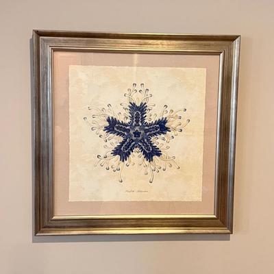 Starfish - Asteridea Print in Metallic Frame (GB2-RG)