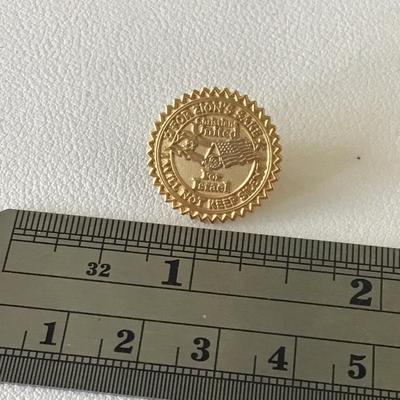 Vintage gold tone push pin
