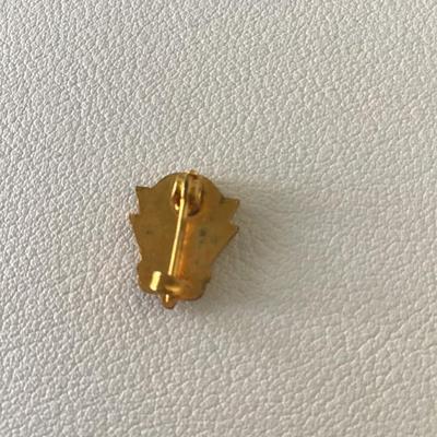 Small vintage pin