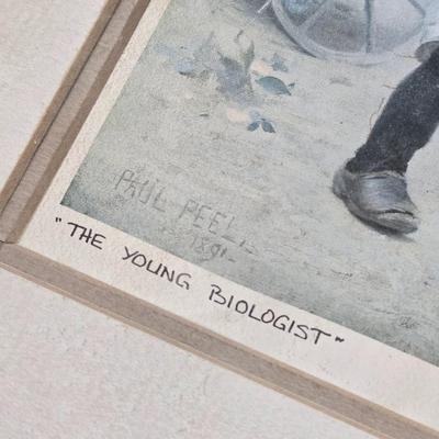 Artist Signed Paul Peel 'The Young Biologist' Lithograph