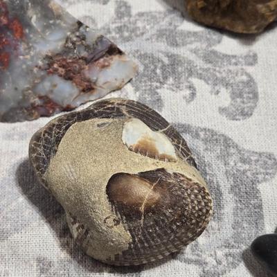 Mixed Rock Collection