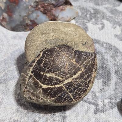 Mixed Rock Collection