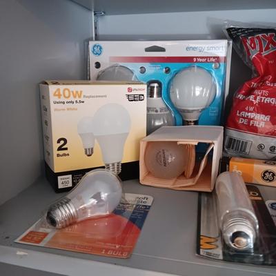 A VARIETY OF LIGHT BULBS AND A TROUBLE LIGHT