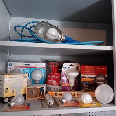 A VARIETY OF LIGHT BULBS AND A TROUBLE LIGHT