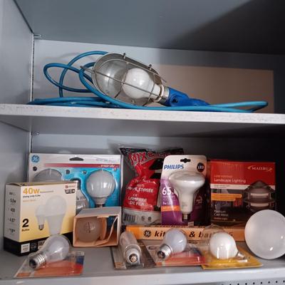 A VARIETY OF LIGHT BULBS AND A TROUBLE LIGHT
