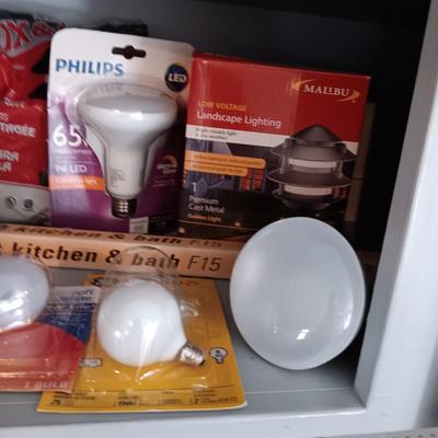A VARIETY OF LIGHT BULBS AND A TROUBLE LIGHT