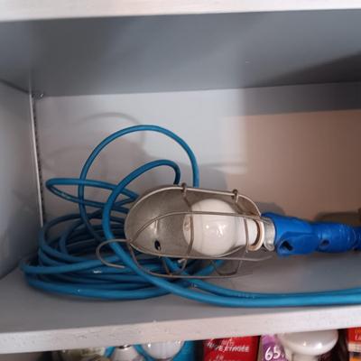 A VARIETY OF LIGHT BULBS AND A TROUBLE LIGHT