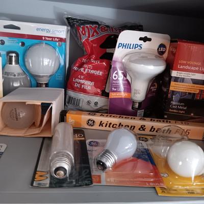 A VARIETY OF LIGHT BULBS AND A TROUBLE LIGHT