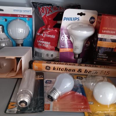 A VARIETY OF LIGHT BULBS AND A TROUBLE LIGHT