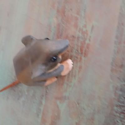 Adorable wooden mouse rodent and a wooden whale keychain